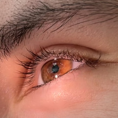 the bird who broke its wings (prod. prodbyIOF)