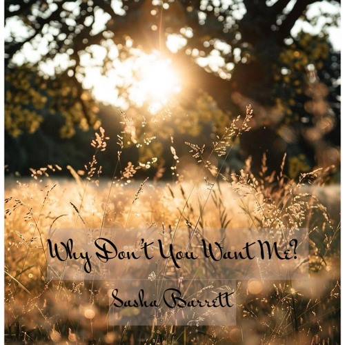 Why Don’t You Want Me?