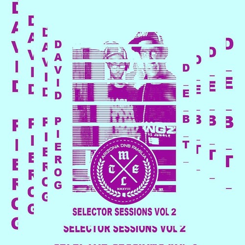 DavidPierog & D E B T - Selector Sessions V2