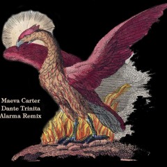 Maeva Carter X Dante Trinita - Alarma Remix