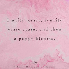 Erase Rewrite - (NaviarHaiku - 557)