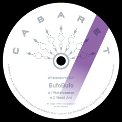 BufoBufo Cabaret037 A1.Watercourse