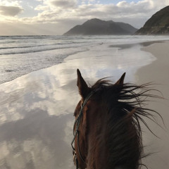 بنة الحسّن بسأل ، لوسمحتي سؤال . وش شعّور المراّيا كل ماشافتك؟ يا كمال الجمال ويا جمال الكمال🤍.