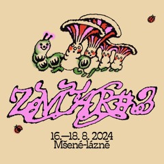 mFX at ZMAR Festival 2024