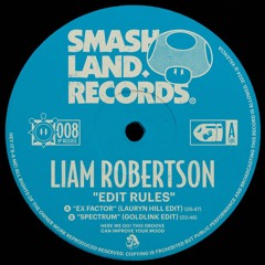 PREMIERE: Liam Robertson - Ex Factor (Lauryn Hill Edit) [Smash Land Records]