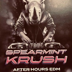 AwsumPawsm - Live at Spearmint Krush 030825