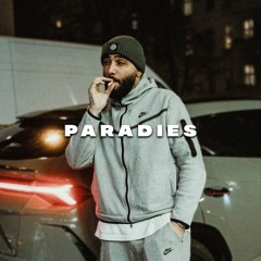 CAPITAL BRA & SAMRA - PARADIES (REMIX/MASHUP)