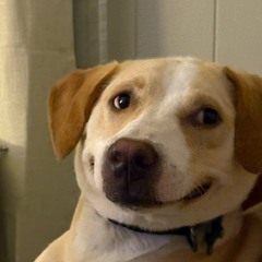 RECORDING PRACTICE 9-26-2025.wav