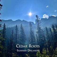 Summer Dreaming