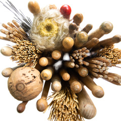 2.Pink Lynx - Samuel Kurvits