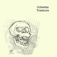 Cobwebs (prod. mxtthxw)