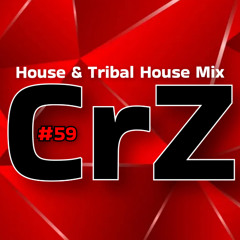 Crazy Dj #59 - House & Tribal House Mix - Summer 2025 - CrZ