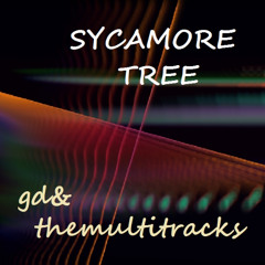 sycamore tree