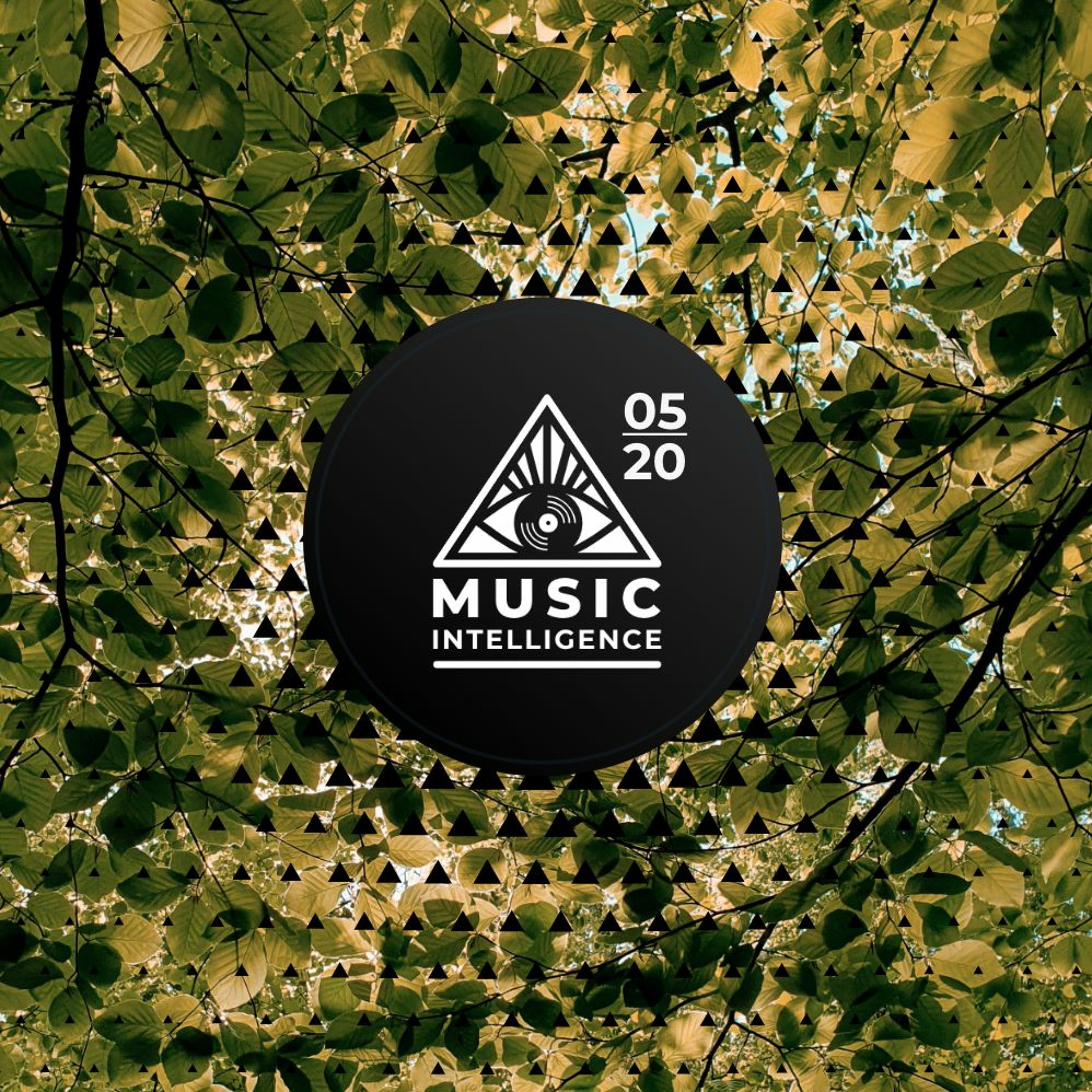 Music Intelligence Podcast