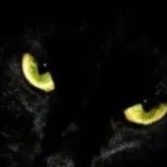 ali amrane(128K).mp3