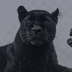 Give Me Everything (Tonight) - Hardtekk | Slowed