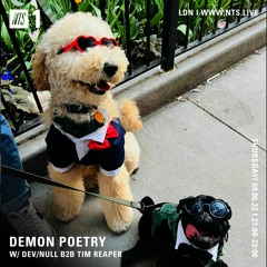 Demon Poetry NTS Radio - June 9th 2022 - Tim Reaper B2B Devnull