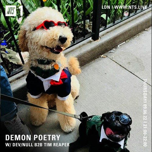 Demon Poetry NTS Radio - June 9th 2022 - Tim Reaper B2B Devnull