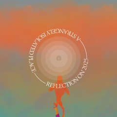 ASIP - Reflection on 2025