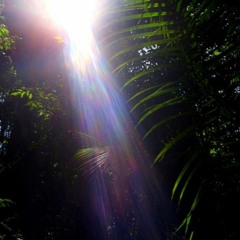 Skylight - Instrumental Test Mix
