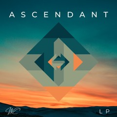 INC - Fear Of Noise (Ascendant LP)