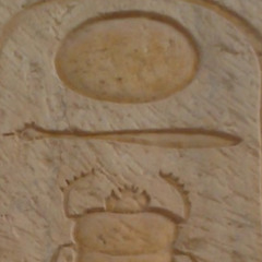 Zaytoun