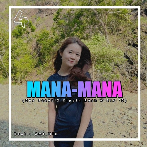 mana mana dj remix