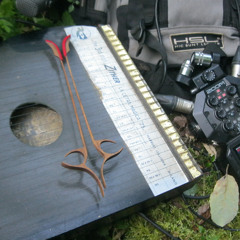 La Cetra Magica plays for birds at Castevoli forest