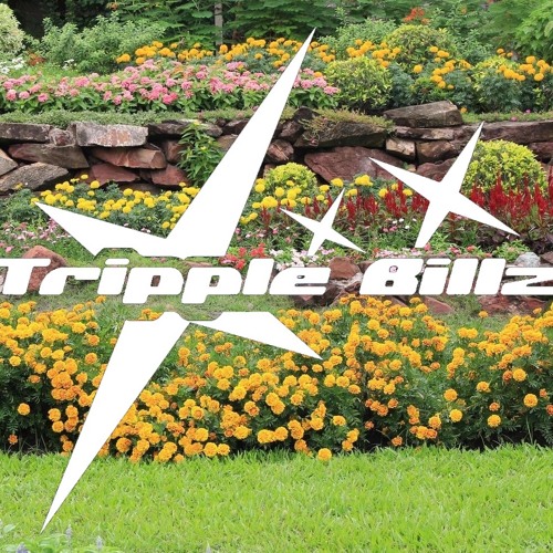 Tripple Billz - what I know (prod. Wrongway!)