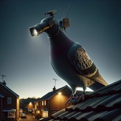 Pigeon Surveillance Protocol