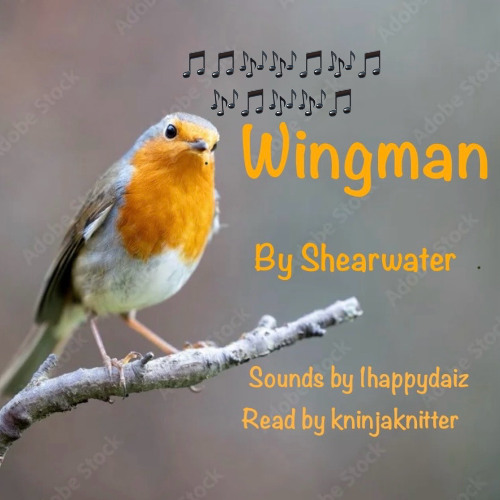 16 Wingman SFX