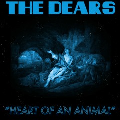 The Dears - Heart Of An Animal (Edit)