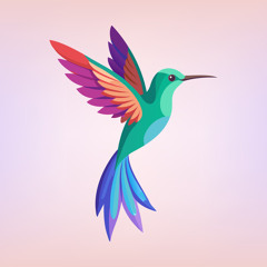 Hummingbird