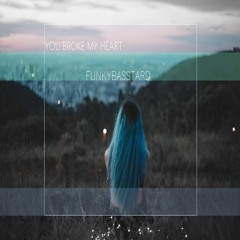 FunkyBasstard - You Broke My Heart (original Mix)