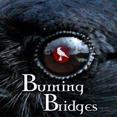 Sin of a Crow - Burning Bridges