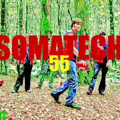 beam deviator 7 / exe.calibur / somatech55