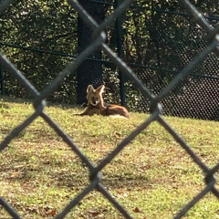 being hungry for a month really has u evaluating everything