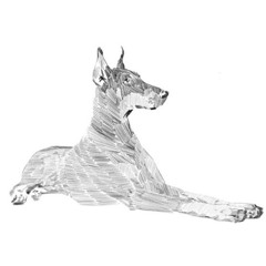 dog (1sadboii)