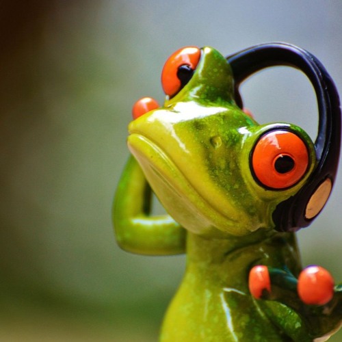 Froggynation