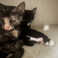 still outside prod yeahitis