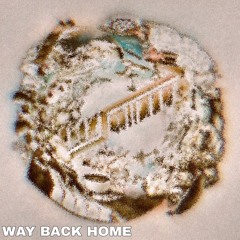 Bag Raiders - Way Back Home [Chris Neth Hardtechno Bootleg]