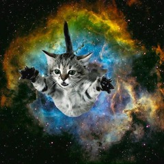 GIANT CATS DESTROY THE UNIVERSE