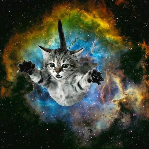 GIANT CATS DESTROY THE UNIVERSE