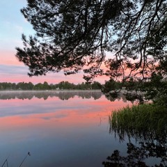 A Mirror Of Grey Herons