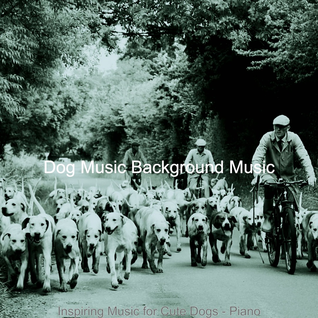 Stream Alluring Backdrops for Training Dogs by Dog Music Background ...