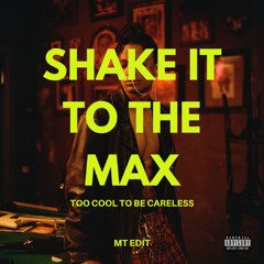 Shake It To The Max x Too Good To Be Careless  (MT EDIT)