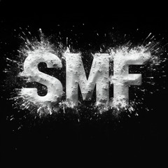 SMF RADIO 004 STAY HRD - GOOD FOR CLUBS,BAR,NO TALKING!