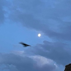 fogged tape (+spnlmnk)