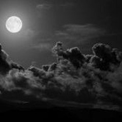 Under The Light Of The Moon