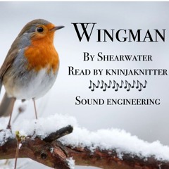 6 Wingman